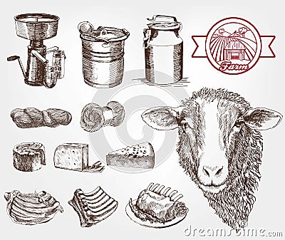 Sheep breeding Vector Illustration
