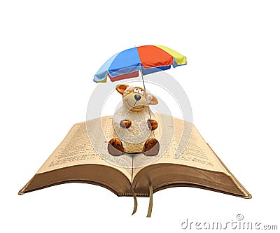 Sheep disciple christ bible jesus umbrella parasol safe security shelter weather holy bibles book christian faith god Stock Photo