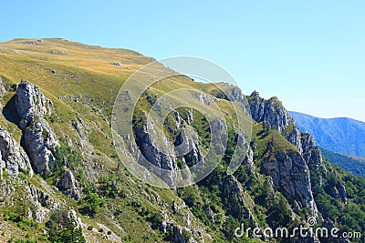 Sheep flock on mountain meadow Stock Photo