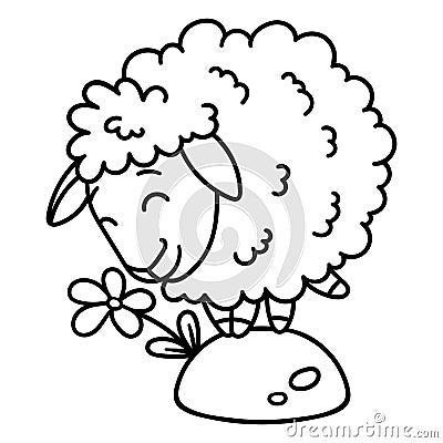 Sheep with a flower. Isolated objects on white background. Vector illustration. Coloring pages. Black and white illustration. Vector Illustration