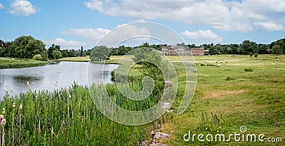 Sheep grazing along the river in front of the North front of Kedleston Hall, Derbyshire, UK Editorial Stock Photo