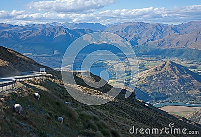 Sheep grazing next to a road leading to the Remarkables Ski Resort near Queenstown in New Zealand. In the background a stunning Stock Photo