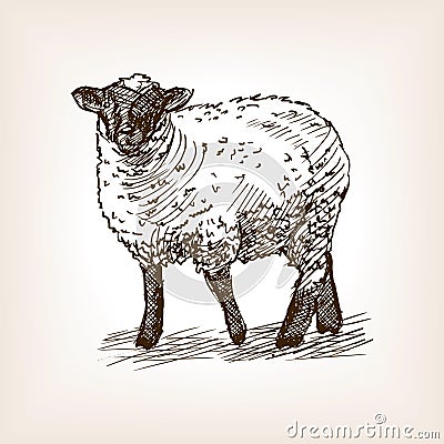 Sheep hand drawn sketch vector Vector Illustration