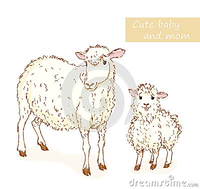 Sheep and lamb Vector Illustration