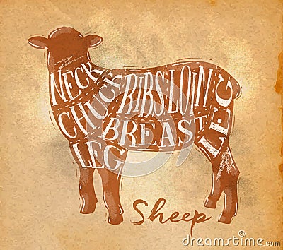 Sheep lamb cutting scheme craft Vector Illustration