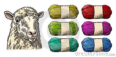 Sheep on meadow and yarn. Vintage vector engraving illustration Vector Illustration