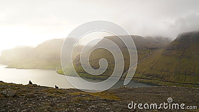 Sheep on a mountain at the Drangarnir Hike near SÃƒÂ¸rvÃƒÂ¡gur on the Faroe Islands in the Atlantic Ocean. Stock Photo