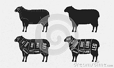 Sheep set. Sheep silhouette. Mutton - butcher diagram template. Vector Illustration