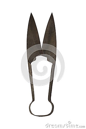 Sheep Shears. Vintage Rusted Scissors Isolated On White Stock Photo