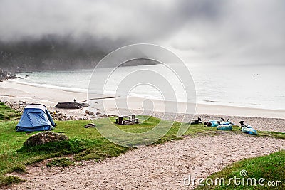 Sheep sleep on a sandy beach close to tourist tents Editorial Stock Photo