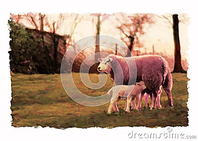 Sheep at sunset illustration Stock Photo