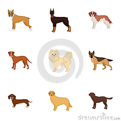 Sheepdog, dachshund, bernard, and other web icon in cartoon style.Spitz, boxer, beagle, icons in set collection. Vector Illustration