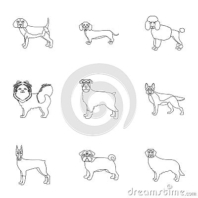 Sheepdog, dachshund, bernard, and other web icon in outline style.Spitz, boxer, beagle, icons in set collection. Vector Illustration