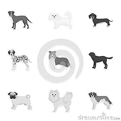 Sheepdog, dachshund, bernard, and other web icon in monochrome style.Spitz, boxer, beagle, icons in set collection. Vector Illustration