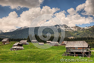 Sheepherd cottages on Pokljuka Plateau in Slovenia central Europe Stock Photo