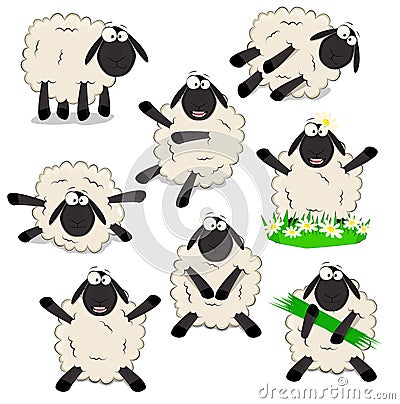 Sheeps Vector Illustration