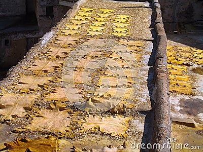 Sheepskins drying on a roof Stock Photo