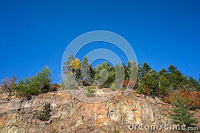 Trees atop rock face Stock Photo