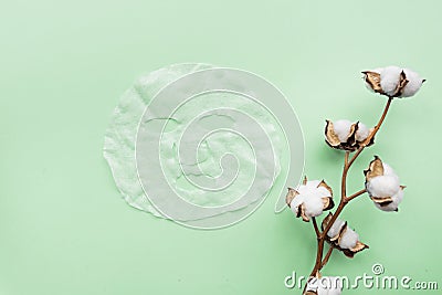 Sheet facial mask and cotton flower on pastel green paper background. Skin care, dermatology, beauty concept. Top view, flat lay, Stock Photo
