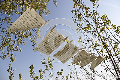 Sheet music in the wind .. Stock Photo