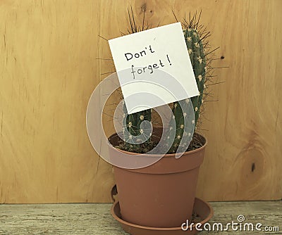 Sheet of paper for notes with inscription `Don`t forget!` Stock Photo