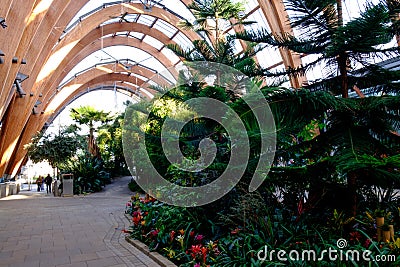 Sheffield winter gardens Stock Photo