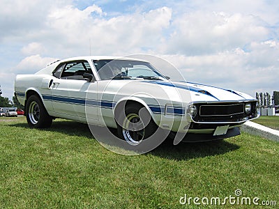 Shelby Stock Photo