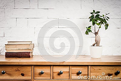 Shelf with books and flower and white wall Stock Photo