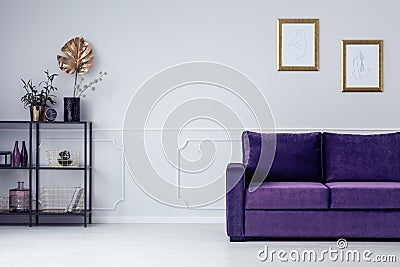 Shelf and couch Stock Photo