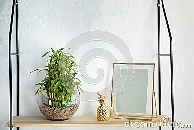 Shelf with green lucky bamboo in glass bowl and decor Stock Photo