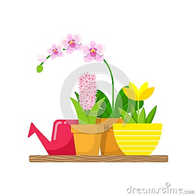 Shelf with home plants and a watering can for flowers. Phalaenopsis Orchid, yellow lotus and hyacinth. Vector Illustration