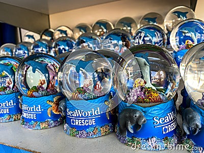 A shelf of Manatee, Dolphin and sea turtle souvenir snowglobes Editorial Stock Photo