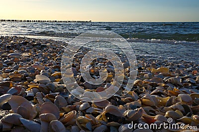 Shell beach by the sea on the Baltic Sea. Sunset, groynes in the background. Coast Stock Photo