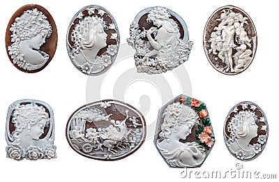 Shell Cameos Stock Photo