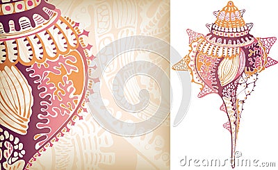 Shell Conch Vector Illustration