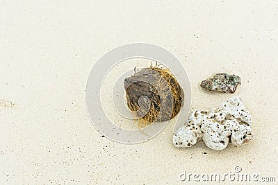 Shell ,coral and coconut on beach Stock Photo