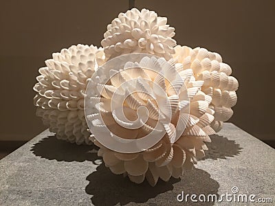 Shell Decorations 2 Stock Photo