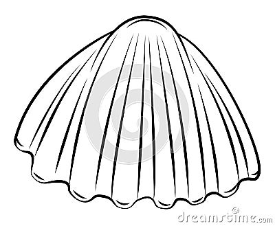 Shell Vector Illustration