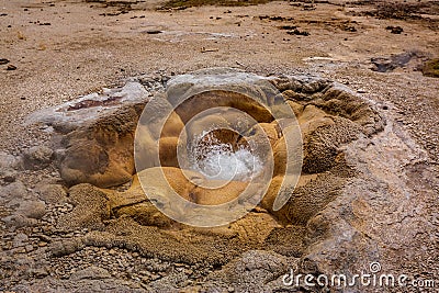 Shell Geyser in Yellowstone Stock Photo