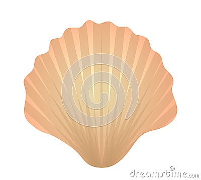 Shell icon logo element. Flat style, isolated on white background. Vector illustration, clip art. Vector Illustration