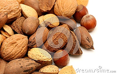 In Shell Nuts Stock Photo