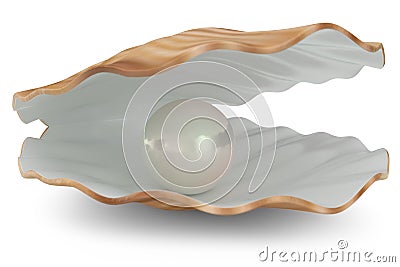 Shell with pearl inside. Natural open pearl shell. 3D illustration Cartoon Illustration