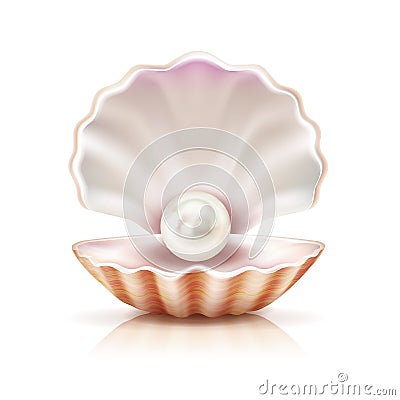 Shell Pearl Realistic Image Vector Illustration