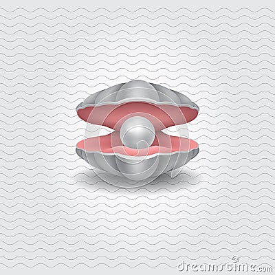 Shell with a pearl, realistic vector object. Vector Illustration