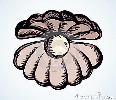 Shell with a pearl. Vector drawing Vector Illustration