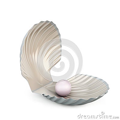 Shell pearl on white background. Stock Photo