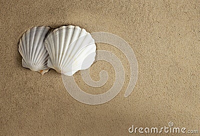 Shell sand romantic Stock Photo