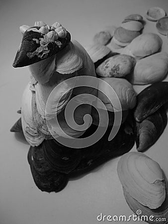 Shell sculpture. Natural abstraction. Stock Photo