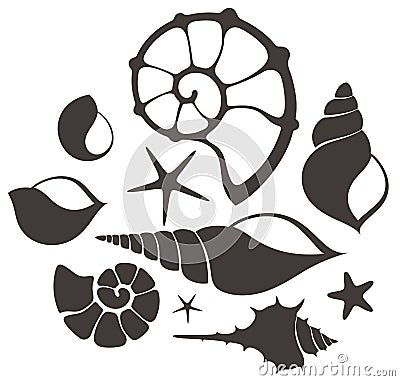 Shell. Set Vector Illustration