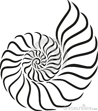 Shell snail caligraphy style Vector Illustration